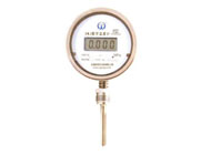 SWJ Series Digital Thermometers 